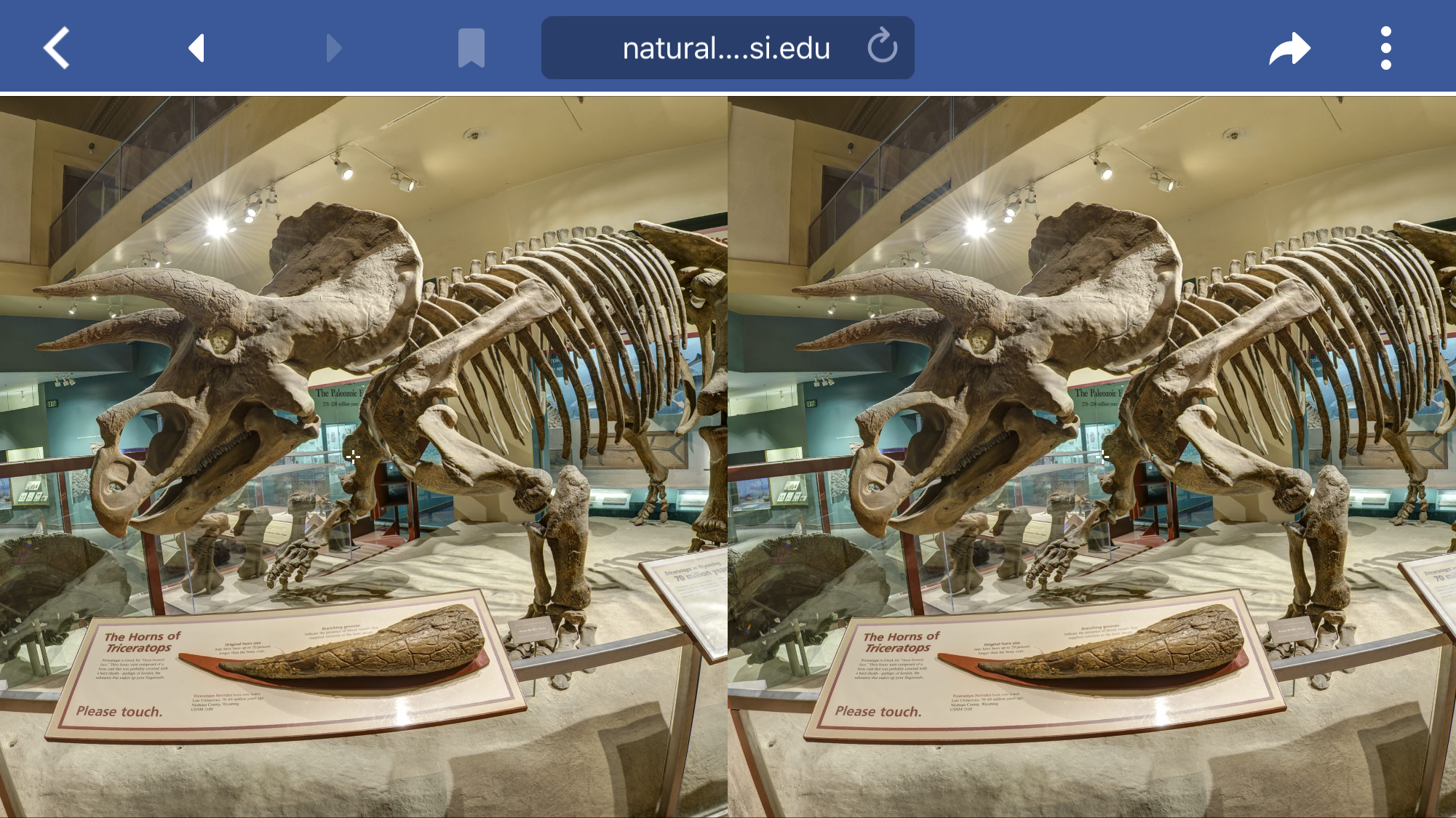 VR 360 Dinosaurs at the Smithsonian